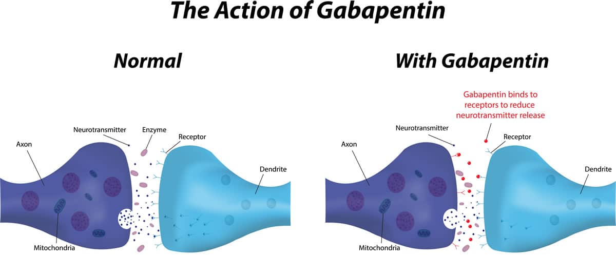 What is the Action Mechanism of Gabapentin ? Is Gabapentin Addictive ?